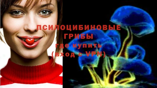 спиды Балахна