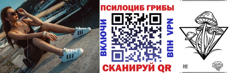 где найти Городище Псилоцибиновые грибы мухоморы