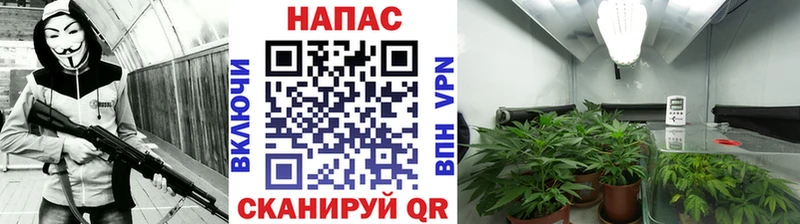 OMG рабочий сайт Городище Конопля White Widow